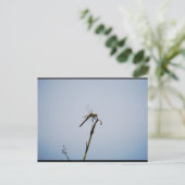 Libelle mit Spazierstock Postkarte (Stehend Vorderseite)