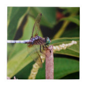 Libelle mit weißen Blume Fliese (Vorderseite)