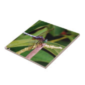 Libelle mit weißen Blume Fliese (Seite)