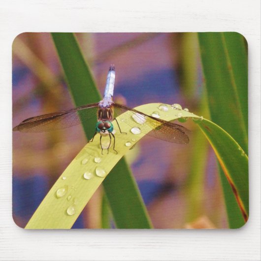 Libelle Mousepad (Vorne)