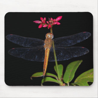 Libelle Mousepad