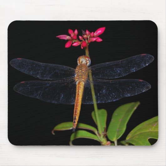 Libelle Mousepad (Vorne)