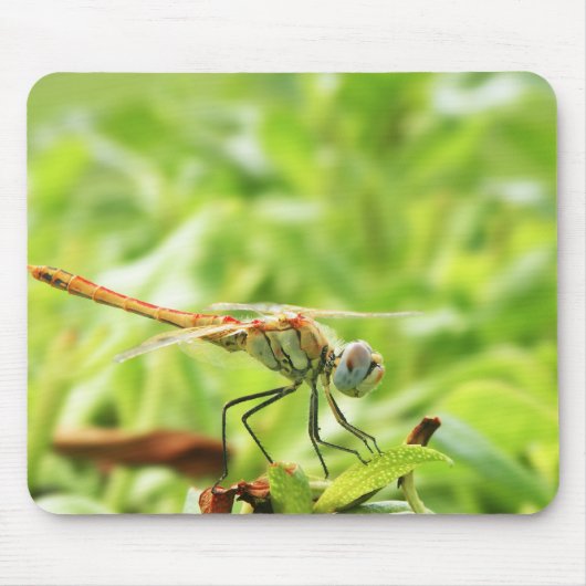 Libelle Mousepad (Vorne)
