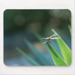 Libelle Mousepad
