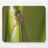 Libelle Mousepad (Vorne)