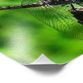 Libelle Nah Natur 8x10 Fotodruck (Ecke)
