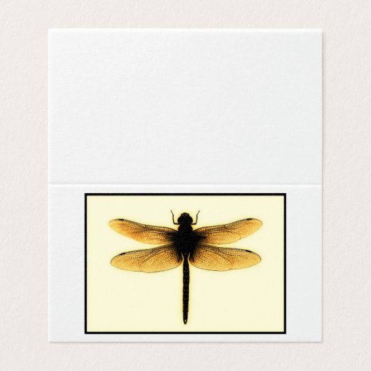 Libelle Notecard (Außenseite Aufgefaltet)