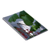 Libelle Notizblock (Rechte Seite)