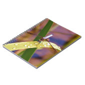 Libelle Notizblock (Linke Seite)