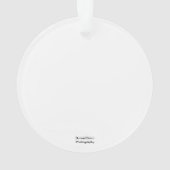 Libelle Ornament (Rückseite)