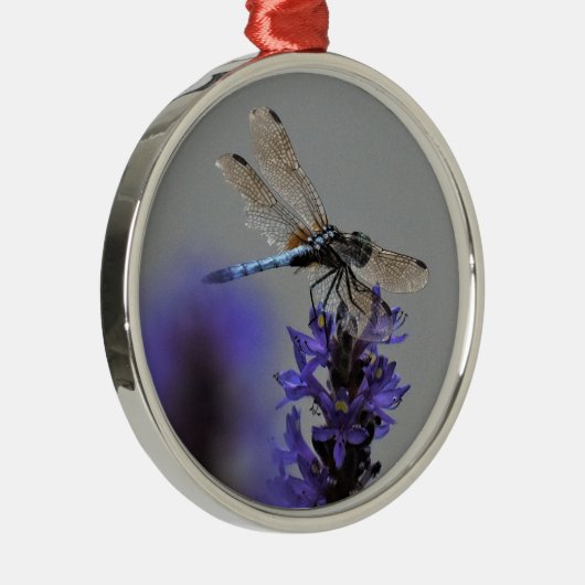 Libelle Ornament Aus Metall (Rechts)