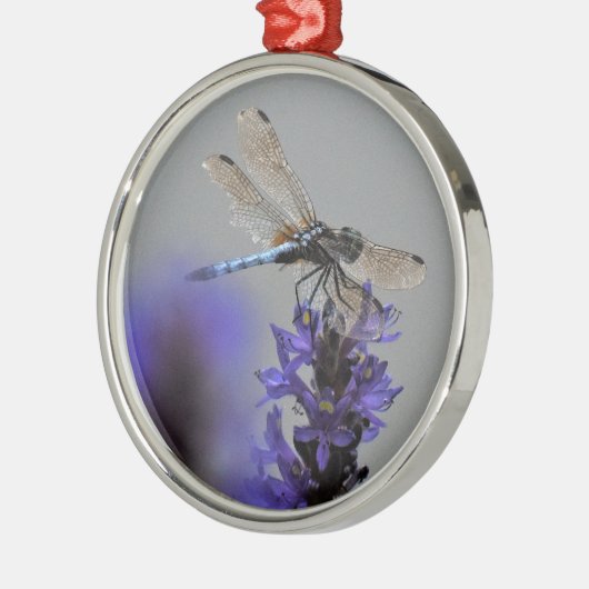 Libelle Ornament Aus Metall (Links)