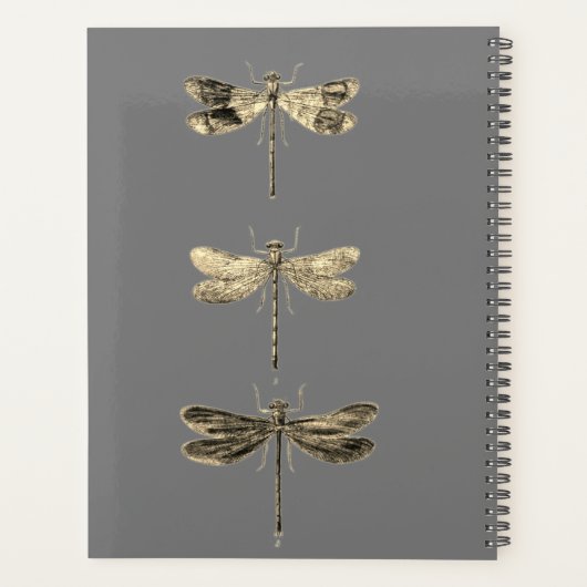 Libelle Planer (Rückseite)