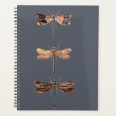 Libelle Planer (Vorderseite)