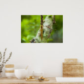 Libelle Poster (Küche)