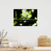 Libelle Poster (Küche)