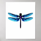 Libelle Poster (Vorne)