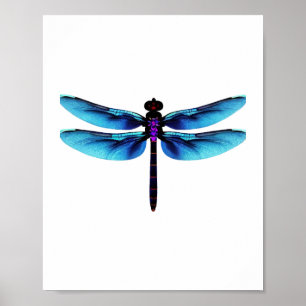 Libelle Poster