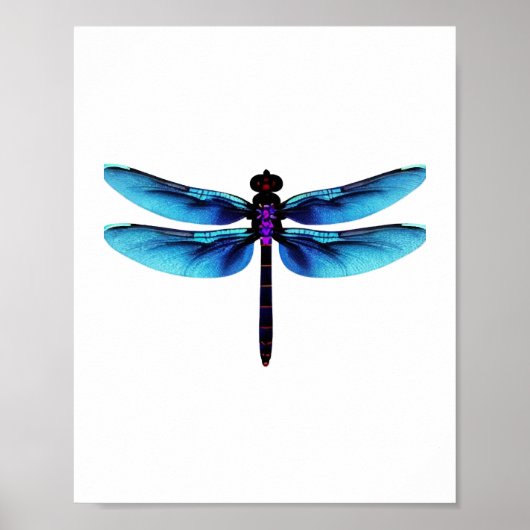 Libelle Poster (Vorne)