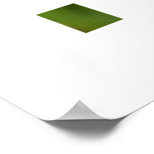 Libelle  poster (Ecke)