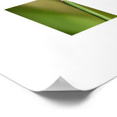 Libelle poster (Ecke)