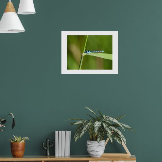 Libelle poster (Wohnzimmer 1)
