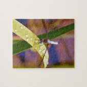 Libelle Puzzle (Horizontal)
