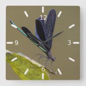 Libelle Quadratische Wanduhr (Vorderseite)