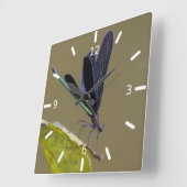 Libelle Quadratische Wanduhr (Winkel)