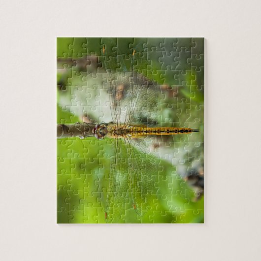 Libelle - Rätsel Puzzle (Vertikal)