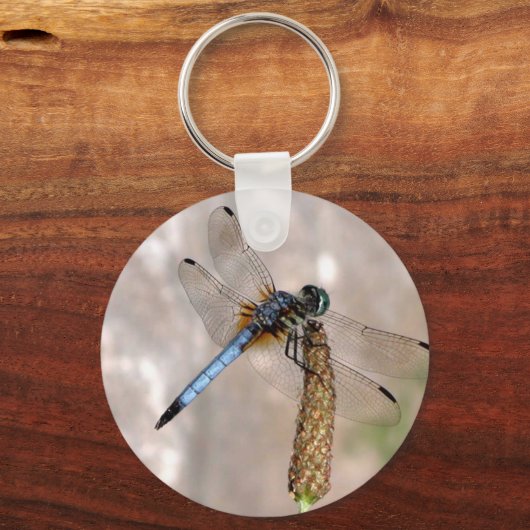 Libelle! Schlüsselanhänger (Vorderseite)