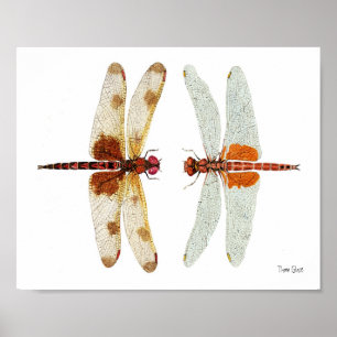 Libelle stellen weg gegenüber poster