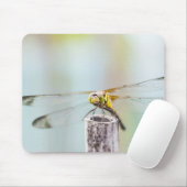 Libelle (Sympetrum infuscatum) 2 Mousepad (Mit Mouse)