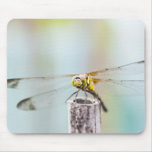 Libelle (Sympetrum infuscatum) 2 Mousepad