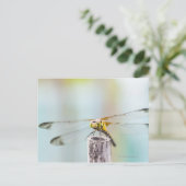 Libelle (Sympetrum infuscatum) 2 Postkarte (Stehend Vorderseite)