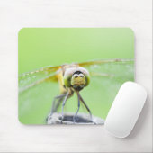 Libelle (Sympetrum infuscatum) Mousepad (Mit Mouse)