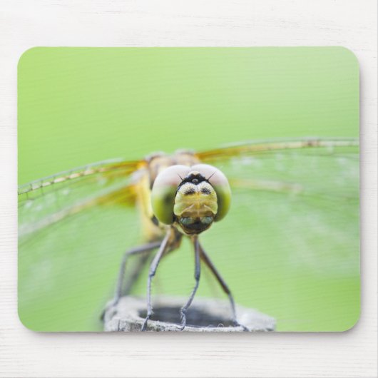Libelle (Sympetrum infuscatum) Mousepad (Vorne)