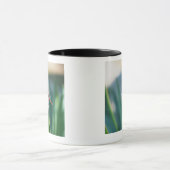 Libelle Tasse (Zentrum)