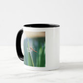Libelle Tasse (Vorderseite Links)