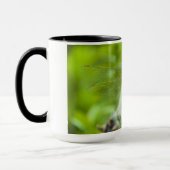 Libelle Tasse (Links)