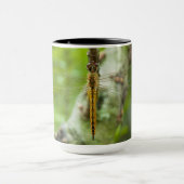 Libelle Tasse (Zentrum)