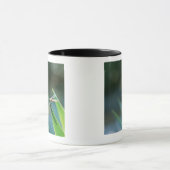Libelle Tasse (Zentrum)
