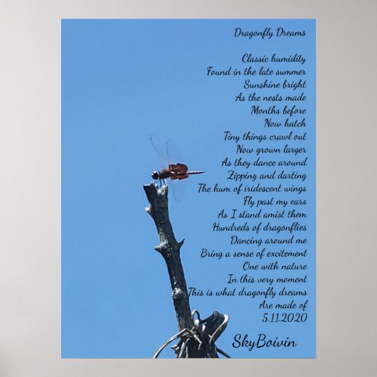 Libelle-Träume Poster (Vorne)