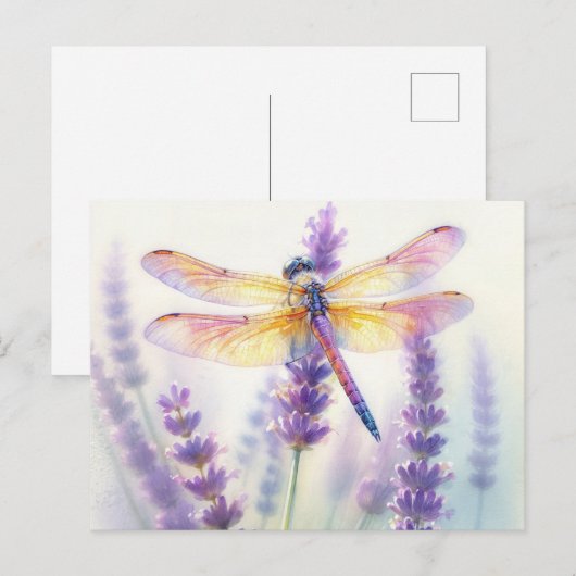 Libelle unter Lavendel Blume Postkarte (Vorne/Hinten)
