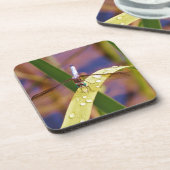 Libelle Untersetzer (Linke Seite)