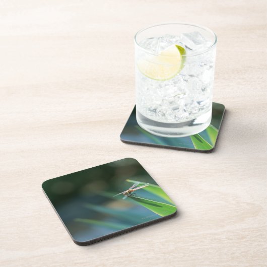 Libelle Untersetzer (Rechte Seite)