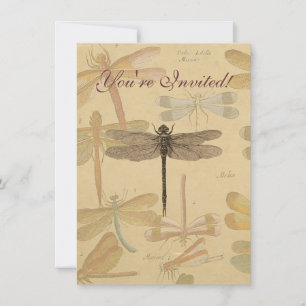 Libelle Vintage Antik Klassik Natur Einladung