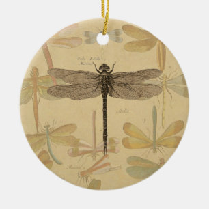 Libelle Vintage Antik Klassik Natur Keramikornament
