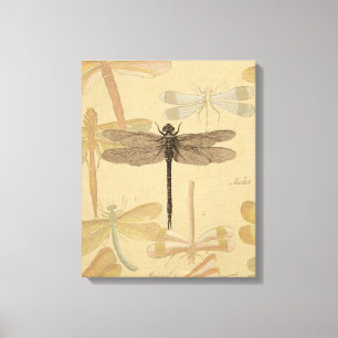 Libelle Vintage Antik Klassik Natur Leinwanddruck