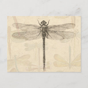 Libelle Vintage Antik Klassik Natur Postkarte
